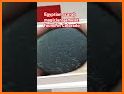 Scarab Treasure related image