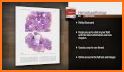 Diagnostic and Experimental Hematology, 2ed related image