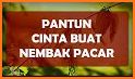 Kumpulan Pantun Cinta related image