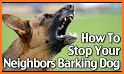 Anti Dog Whistle Sound - Stop Barking related image
