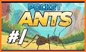 Win at Pocket Ants Simulator related image
