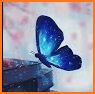 Beautiful Wallpaper Blue Butterfly Theme related image