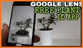 Free Plant, Tree, Flower, Leaf Identification related image