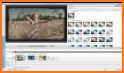 NeRoo Video Effect Templates related image