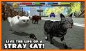 Stray Cat Simulator related image