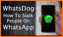 Whats Dog Pro related image