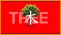 Japanese Kanji Tree related image
