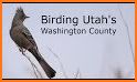 Birding Utah related image