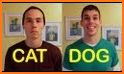 Dogs Cats and Me related image