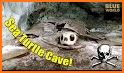 Cave Bird Rescue related image