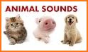 Animals for kids - sounds + pictures related image