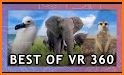 Farm Animals & Pets VR/AR Game related image