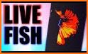 Fish Live Wallpaper 3D Aquarium Background HD 2018 related image