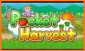 Pocket Harvest related image