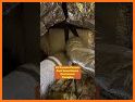 Duct Flow related image