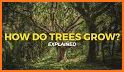Grow Tree related image