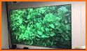 Video Projector Screen Photo Frame related image