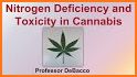 GrowCush - Cannabis deficiency detection related image