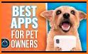 Midoog - Your pet's app related image