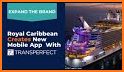 TransPerfect Experiences related image