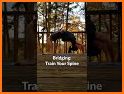 Human Bridge related image
