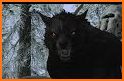 Werewolf Browser: Your Exclusive Smart Tool related image