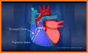 My Heart Anatomy related image