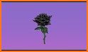 Cool black rose theme related image
