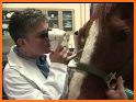 Equine Drugs – SCAAEP edition related image