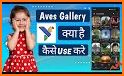 Aves Gallery related image