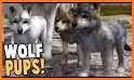 Wolf Sim: Family Quest related image