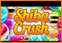 Shiba Crush related image