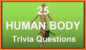 Human Anatomy Quiz related image