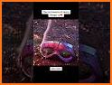 Captain Henry Danger Video Call & Chat Simulation related image