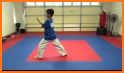 Taekwondo Forms related image