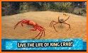 Crab Games 3D related image