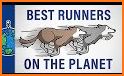 Hard Run Buddy related image