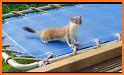 Trampoline Animal related image