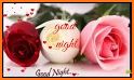 Good Night New Images Gif 2019 related image