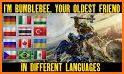 Learn Languages - Bumblebee related image