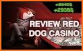 Red Dog Casino Mobile Game related image