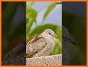 ReformedApp related image