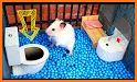My Hamster Story related image