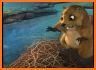 Animal Adventures - kids games related image