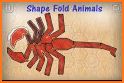 Shape Fold related image