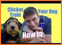 Training Dog Clicker Trinket related image