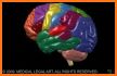 3D Human Brain + related image