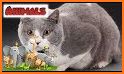 Wild Animal Sounds For Kids - Animals Ringtones related image