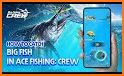 Ace Fishing Crew related image