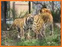 Zoo Diary related image